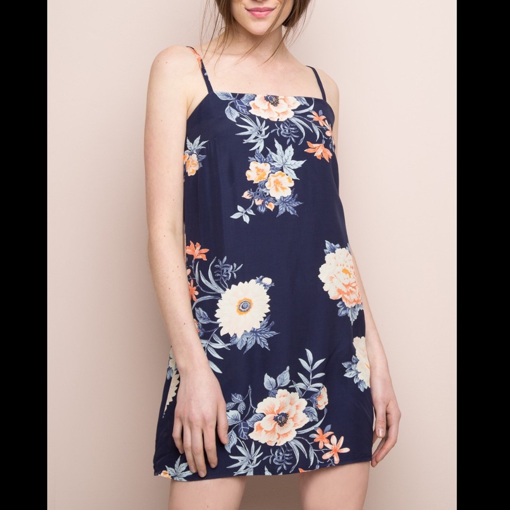 Brandy Melville Rare Blue Floral Claire Dress